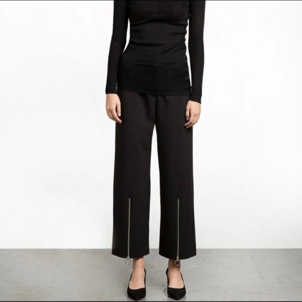 Pixie Market Ring Pull Zipper Black Pants - image 4
